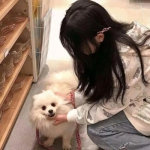 跳舞球球周五夜版中文版下载